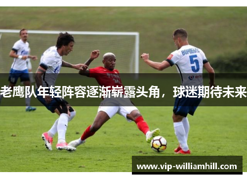 老鹰队年轻阵容逐渐崭露头角，球迷期待未来